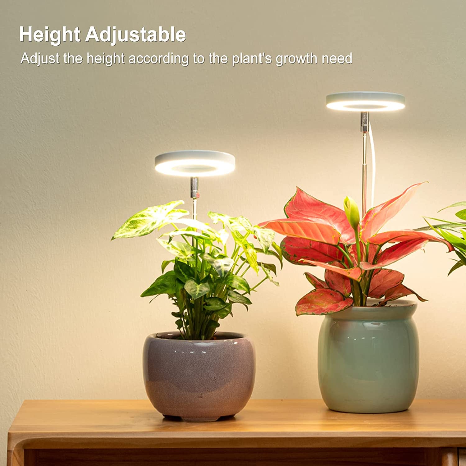 Grow Light, Full Spectrum LED Plant Light for Indoor Plants, Height Adjustable Growing Lamp with Auto On/Off Timer 4/8/12H, 4 Dimmable Brightness, Ideal for Small Plants