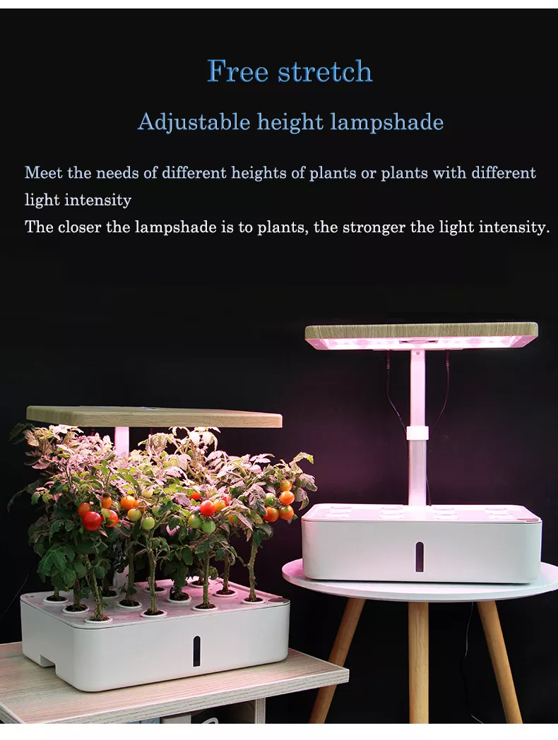 Hydroponics System Box Intelligent Full Spectrum Grow Light Mini Green Garden Plant Vegetable / Flower / Fruit