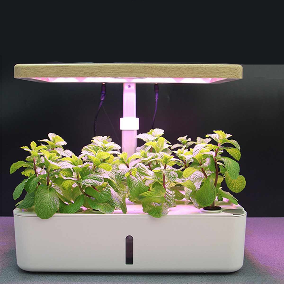 Desk Indoor Herb Garden Kit