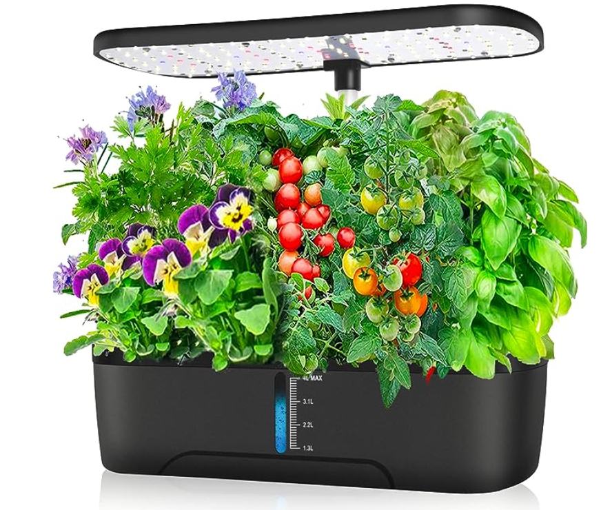 Hydroponics: Growing Plants Without Soil