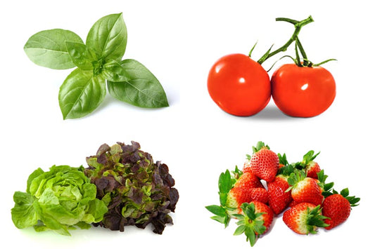 Why Growing Fruits and Vegetables Indoors with Hydroponics is Beneficial