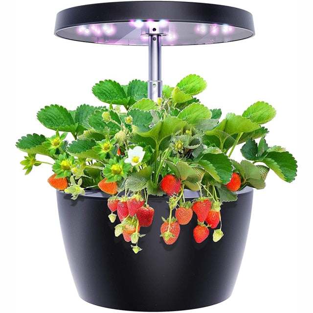 Discover a new world of taste and fulfillment with our easy-to-grow, complete beginner hydroponics kits