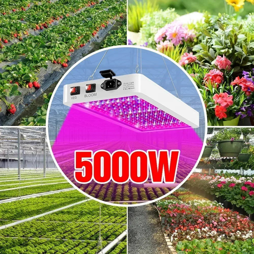 Full Spectrum Grow Light