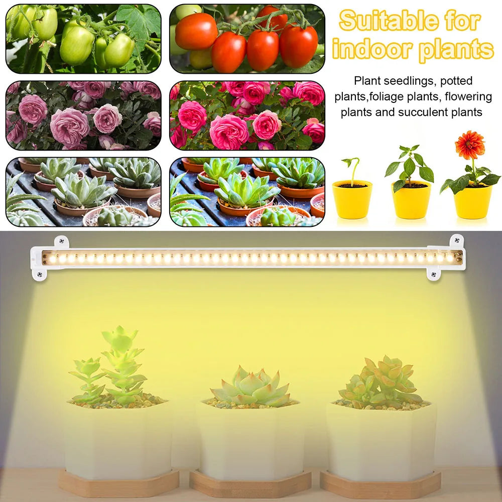 BrightGrow LED Light Strips