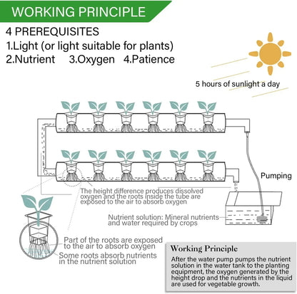 EcoGrow Hydroponic Garden Kit