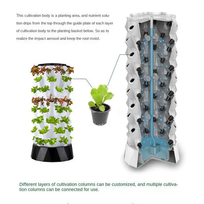 EasyGrow Hydroponic Garden