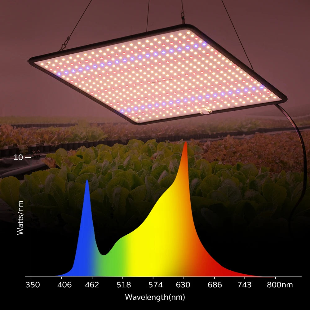 Full Spectrum LED Grow Light