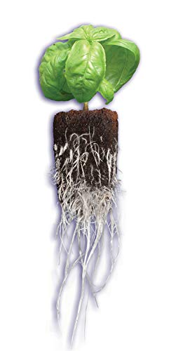 General Hydroponics Rapid Rooter Plant Starters, 50 Plugs