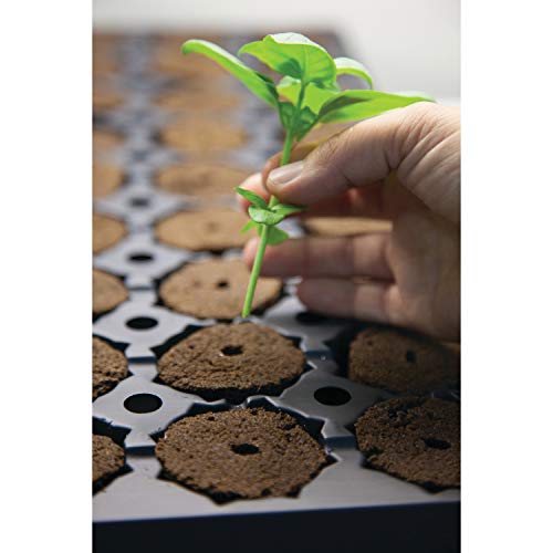 General Hydroponics Rapid Rooter Plant Starters, 50 Plugs