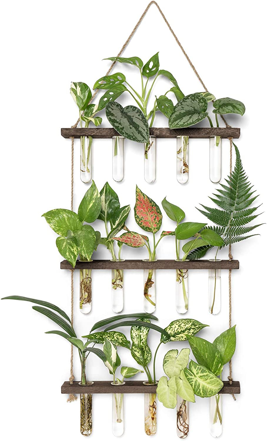 Plant Propagation Tubes, 3 Tiered Wall Hanging Terrarium with Wooden Stand Mini Test Tube Flower Vase Glass Planter Stations for Hydroponic Cutting Home Garden Office Decor Plant Lover Gift