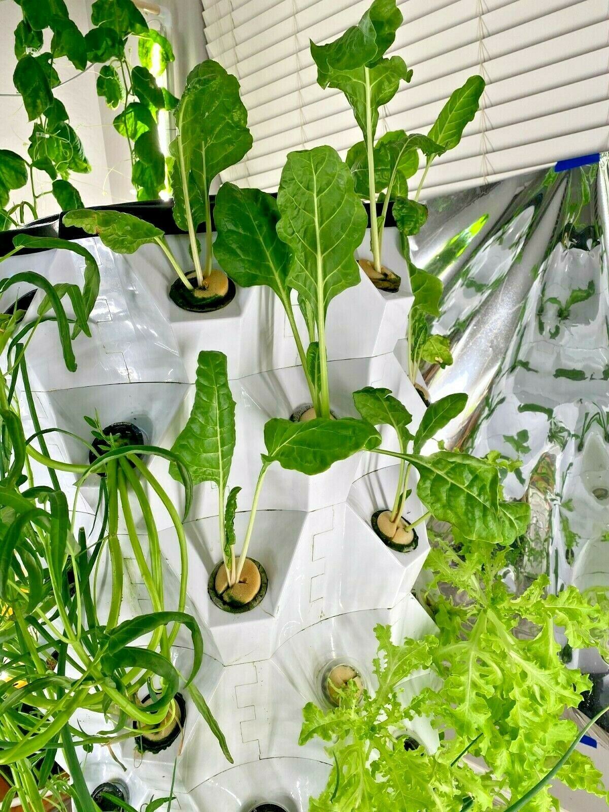 10-Layer 80-Plant Vertical Hydroponic Growing System with Aeroponics Equipment for Pineapple Tower Garden