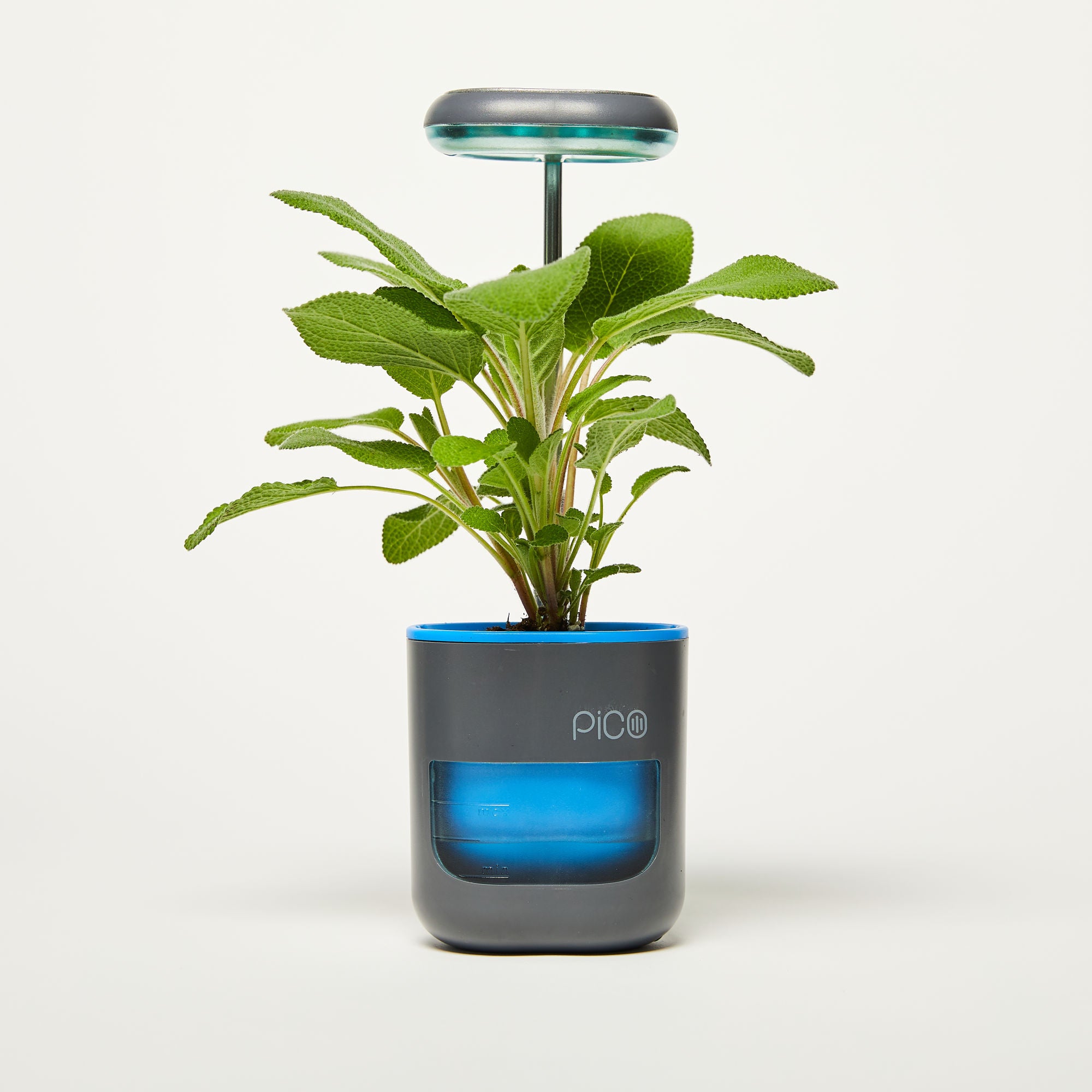 Pico Planter Indoor Garden with Plant Grow Light. This Herb Growing Kit is the Perfect Self Watering Planter. An Indoor Garden for Your Home and Office. Grow with Soil or Soil-Less Hydroponics.
