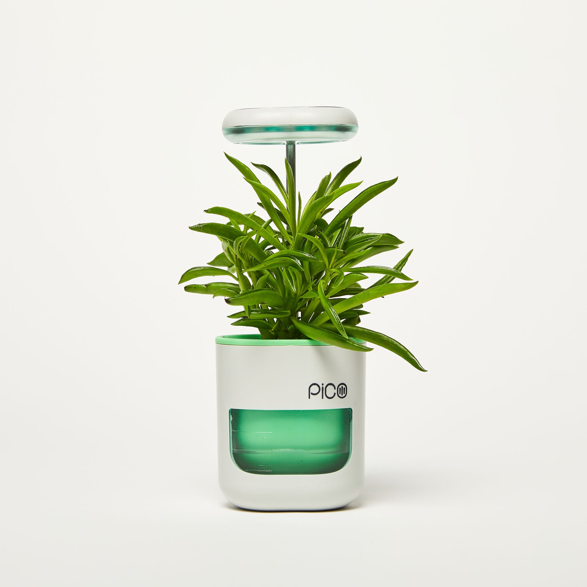 Pico Planter Indoor Garden with Plant Grow Light. This Herb Growing Kit is the Perfect Self Watering Planter. An Indoor Garden for Your Home and Office. Grow with Soil or Soil-Less Hydroponics.