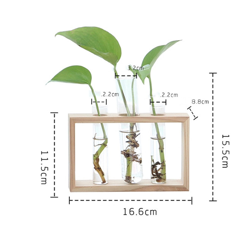 Handmade Home Test Tube Planter