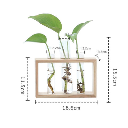 Handmade Home Test Tube Planter