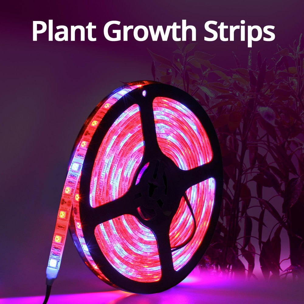 5M LED D Fitolampy Grow Lights Strip