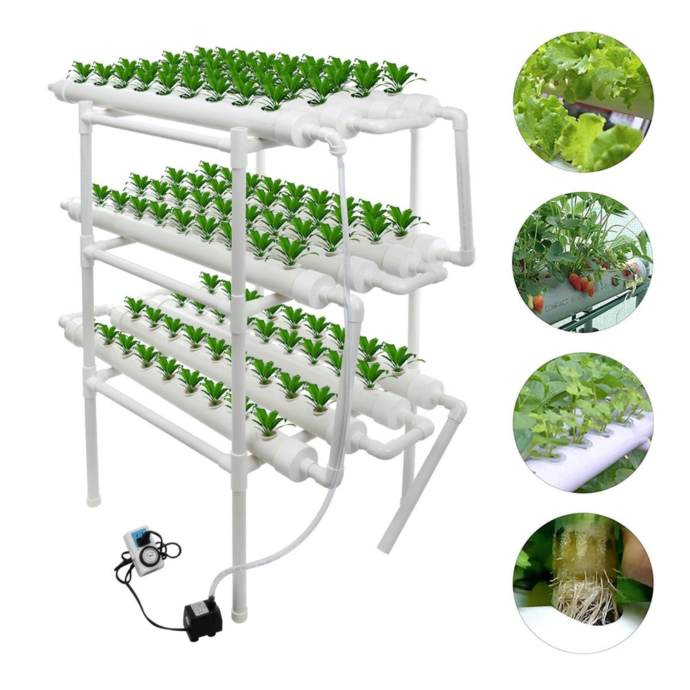 Hydroponic Growth System Soil-less
