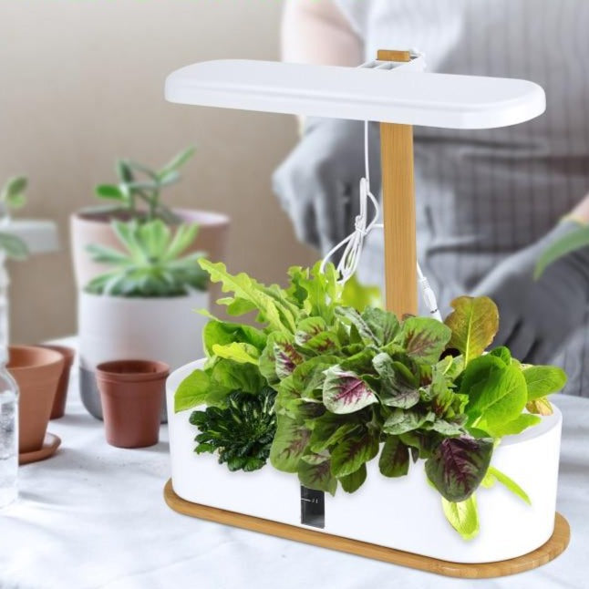 8 Smart Hydroponics Growing System