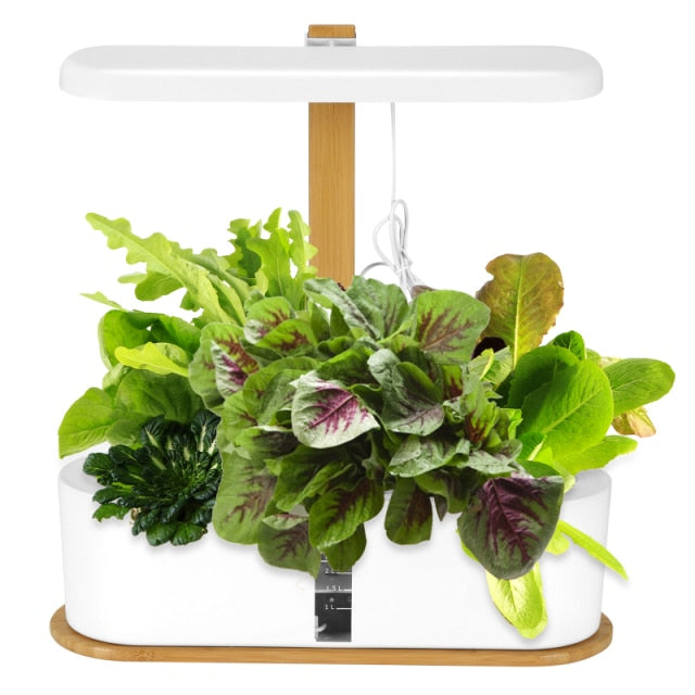 8 Smart Hydroponics Growing System