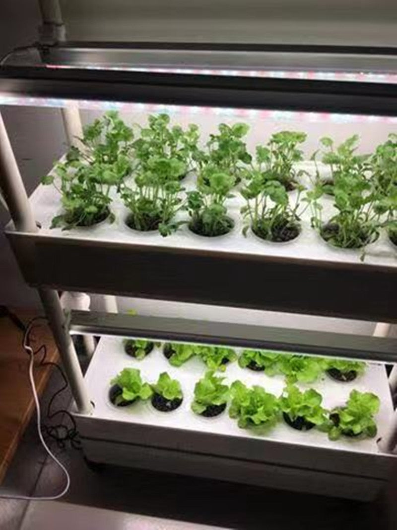 Commercial Hydroponics Growing System