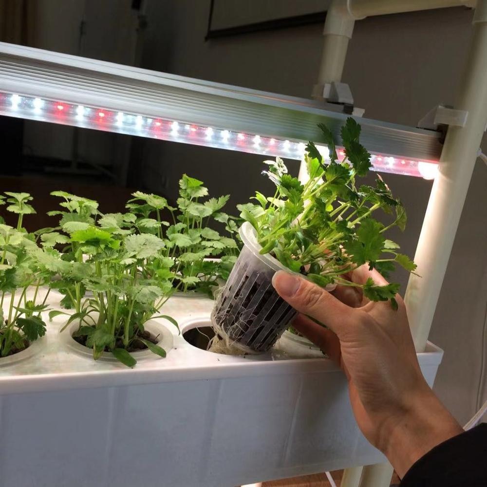 Commercial Hydroponics Growing System