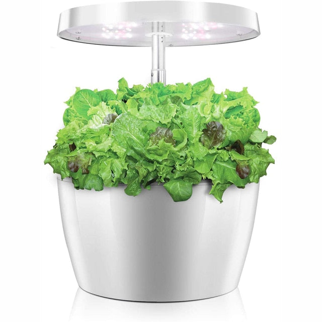 Hydroponics Growing System 3 Growth Modes