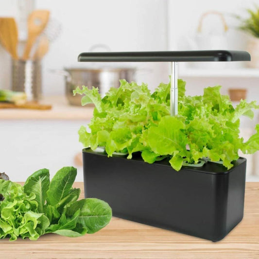 Indoor Hydroponics Growing System